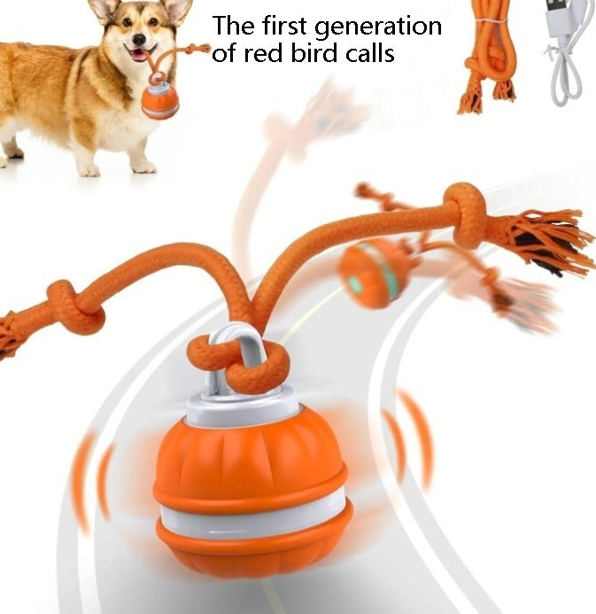 Juguete interactivo para mascotas con forma de bola rodante, recargable por USB
